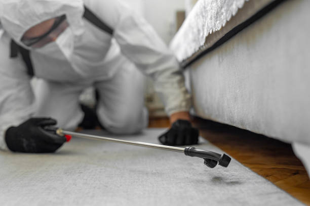 Professional Bed Bug Control technician working in Vero Beach, FL